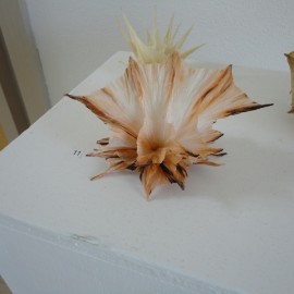 Vincent Floderer, Viereck Verlag exhibition