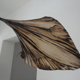 Vincent Floderer, Viereck Verlag exhibition