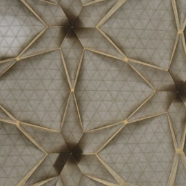Moorish Stars - Eric Gjerde