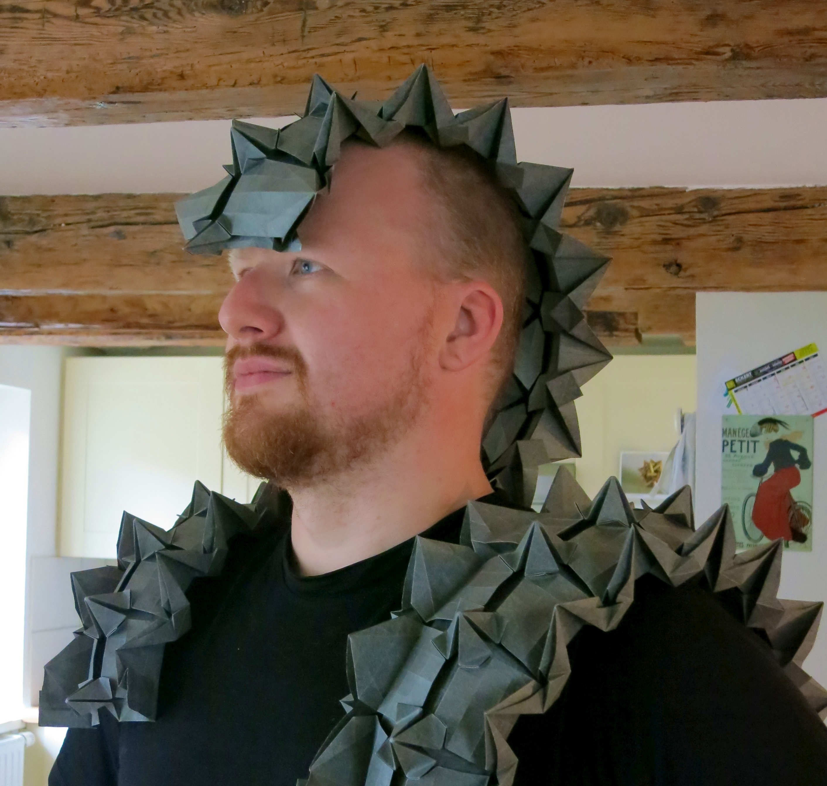 Eric Gjerde Origami